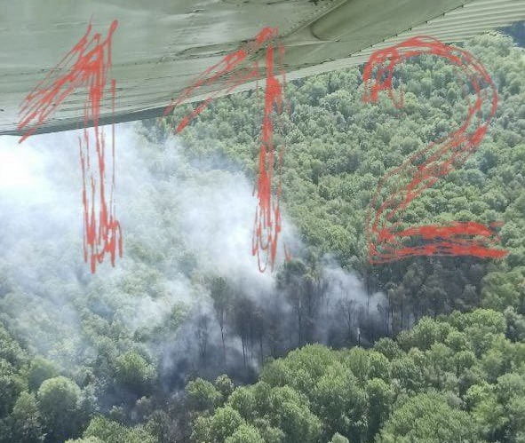 a plane wing with red writing on the trees