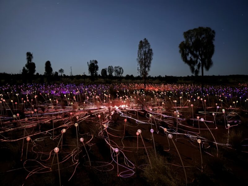 a field of lights at night