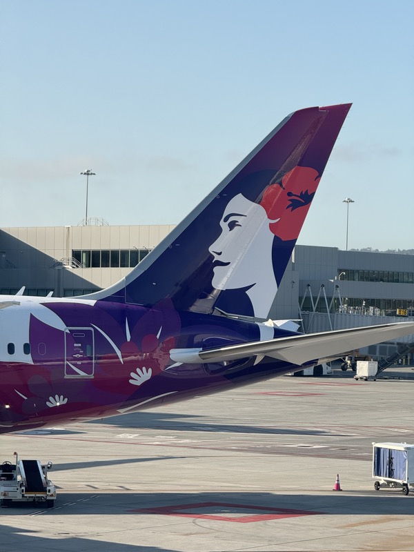 a tail of an airplane with a woman's face on it