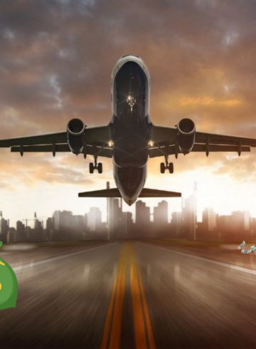 Top 10 Profitable Airlines